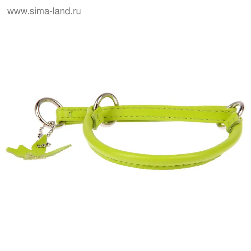 Ошейник-удавка CoLLaR Glomour, 30 х 0,6 см, зеленый