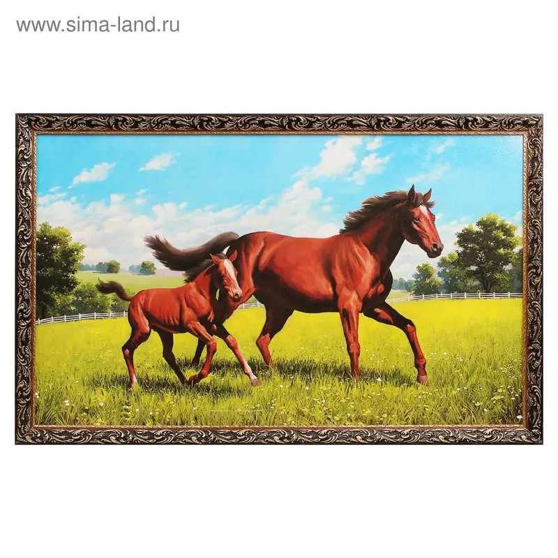 Картина "Кони: жеребёнок" 67х107 см