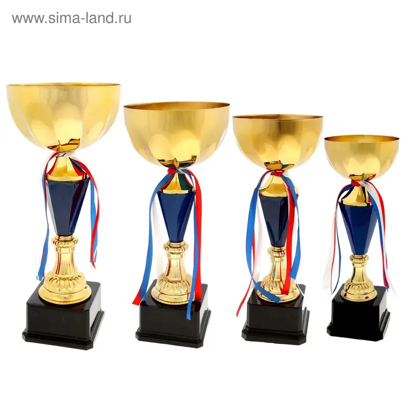 Кубок спортивный 076D