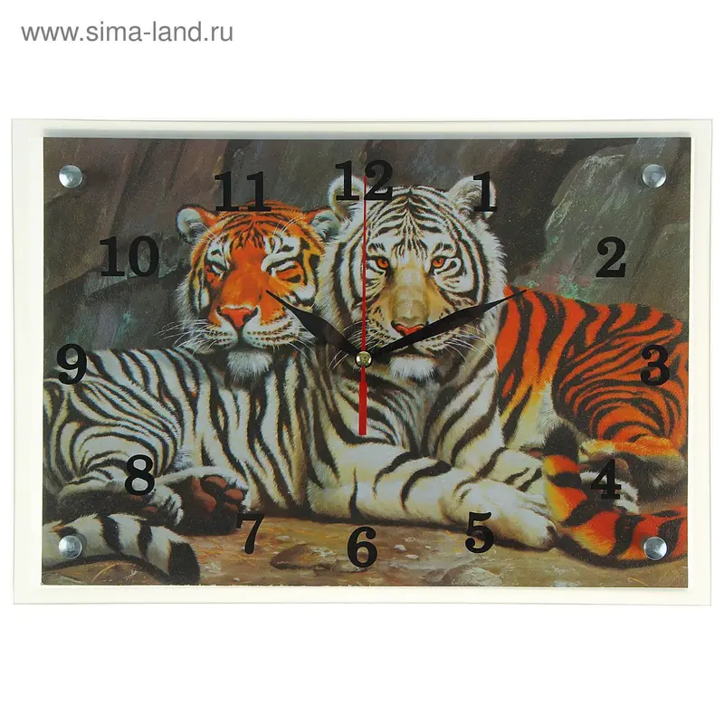 Часы настенные прямоугольные "Тигры", 25х35 см микс