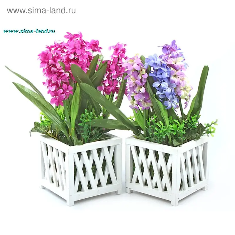 композиция дельфиниум в заборчике 40*15 см