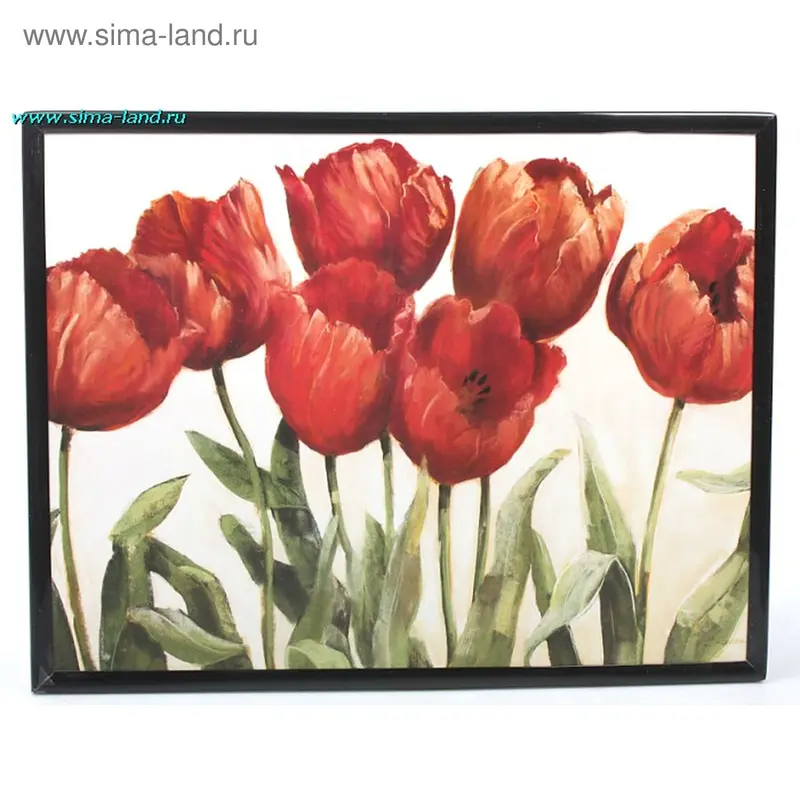 картина постер 20*26 см тюльпаны