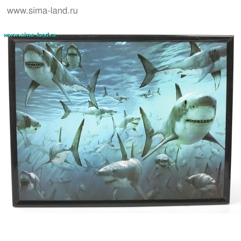 картина постер 20*26 см акулы