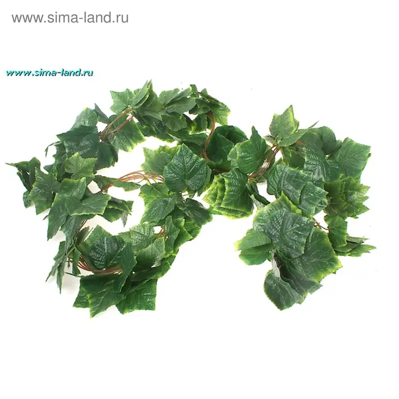 лиана лист резной