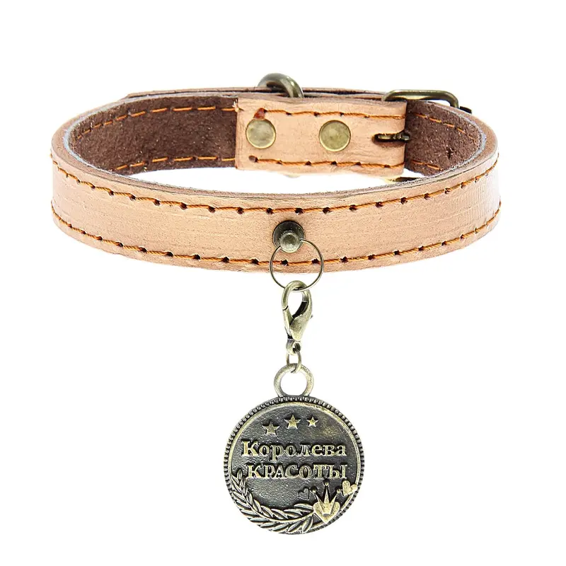 Ошейник с адресником "Королева красоты", 2 х 45 см