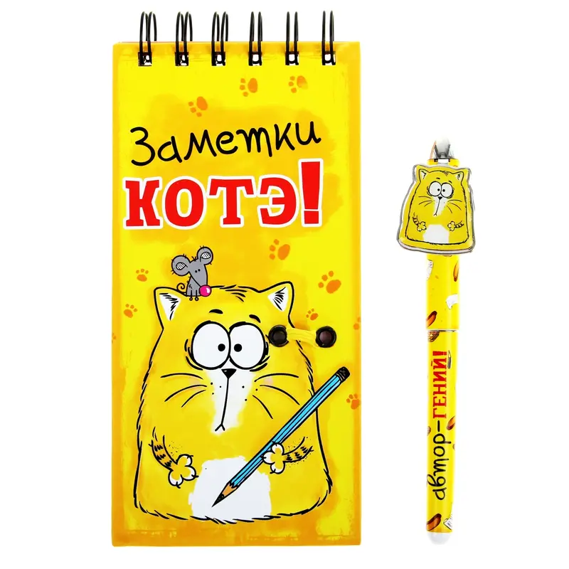 Блокнот + ручка "Заметки Котэ"