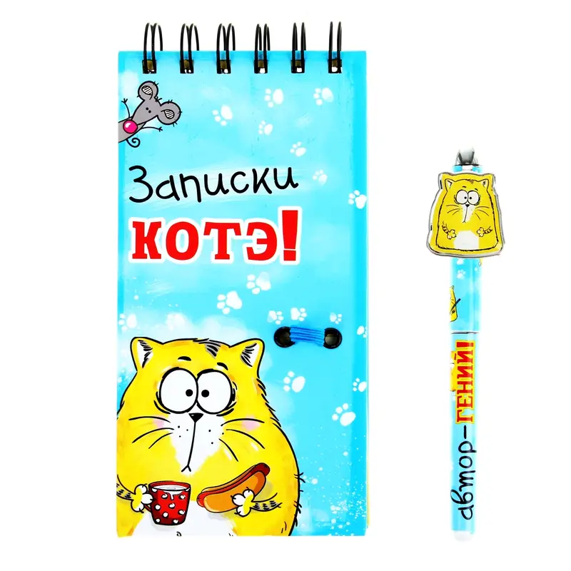 Блокнот + ручка "Записки Котэ"