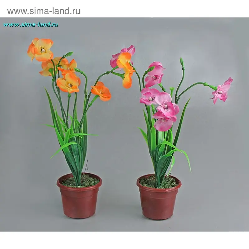 композиция нарцисс 35 см