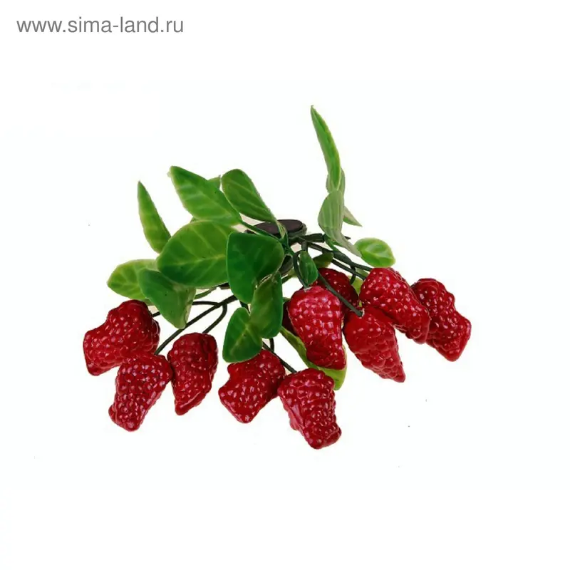 магнит пластик ежевика 5 ягод 12*9 см