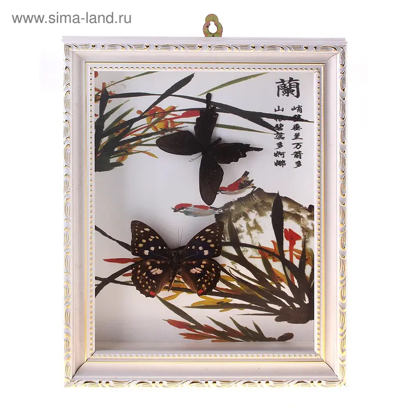 картина 30*24 см яркая бабочка травка