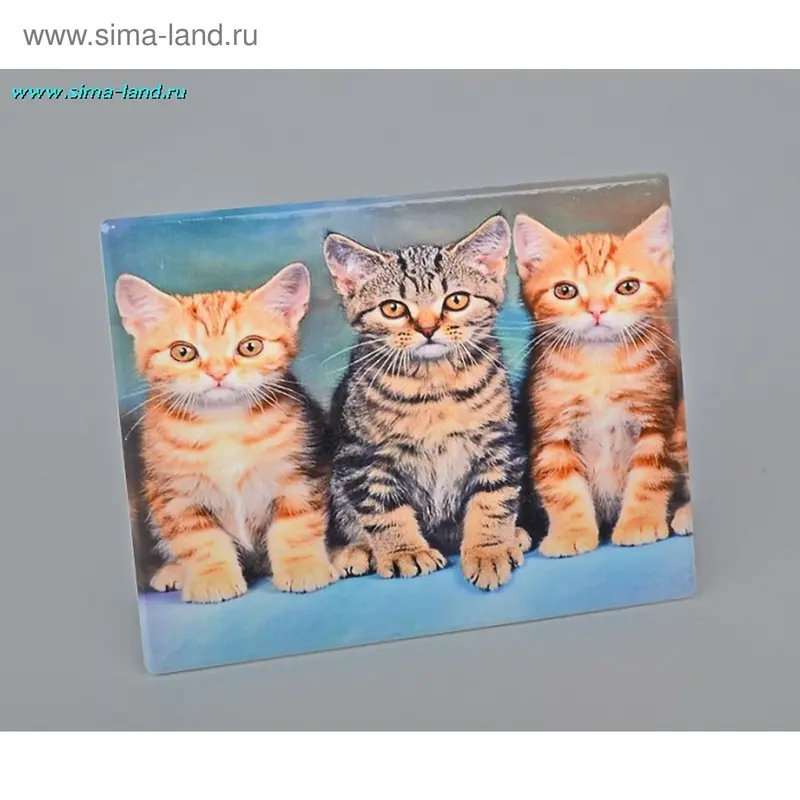 настольная картина котята 13,5*17,5