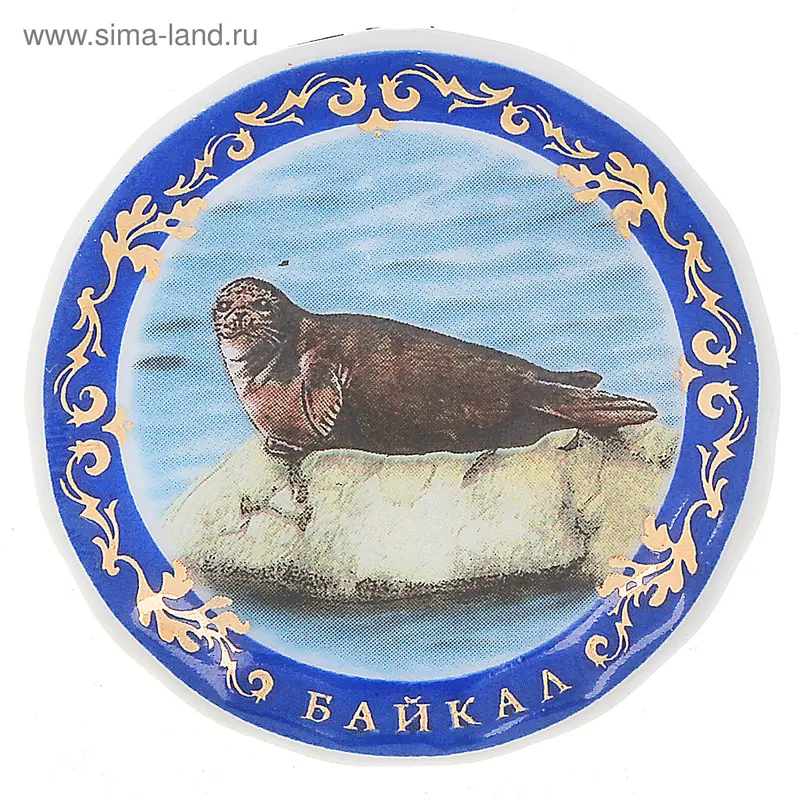 Магнит "Байкал. Нерпа"