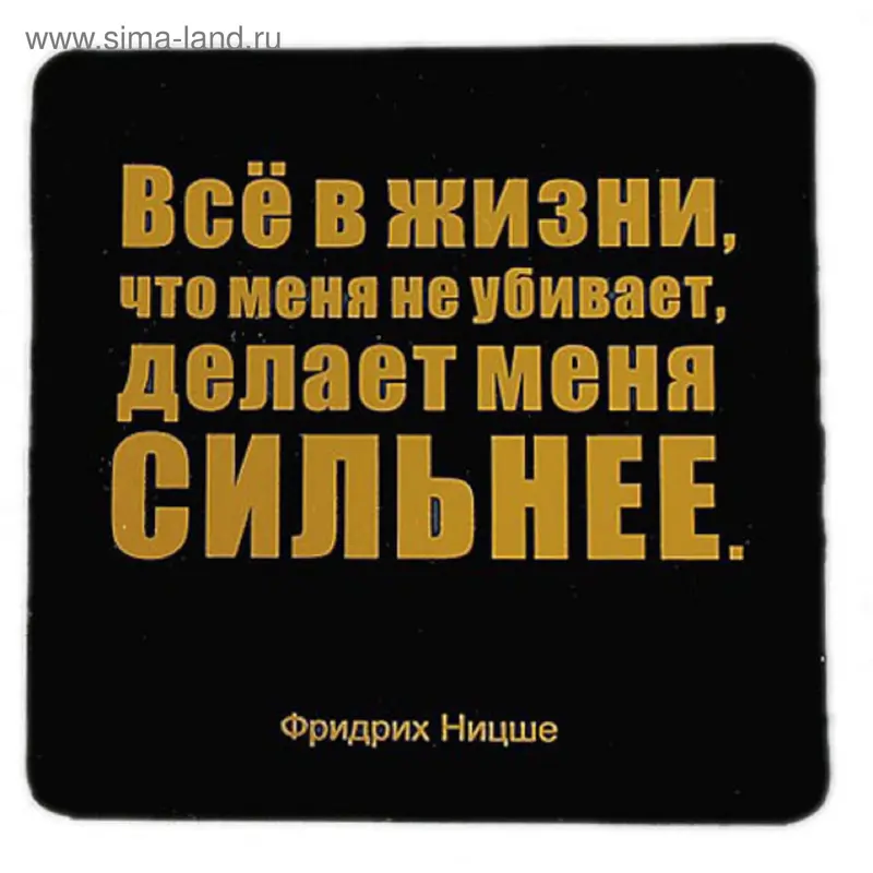 Магнит "Все в жизни, что меня не убивает..."