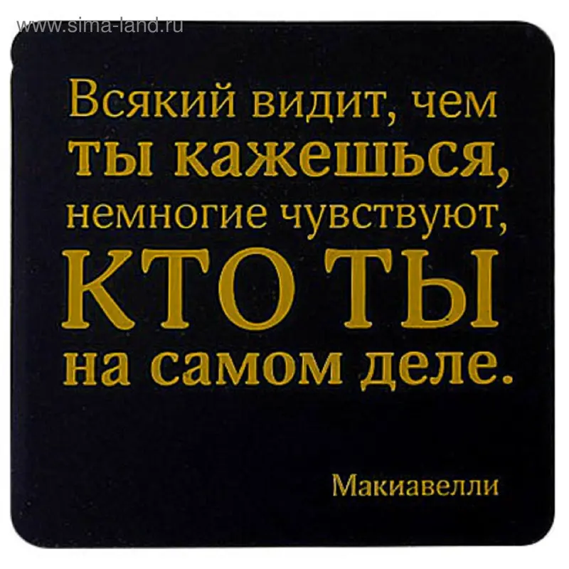 Магнит "Всякий видит..."