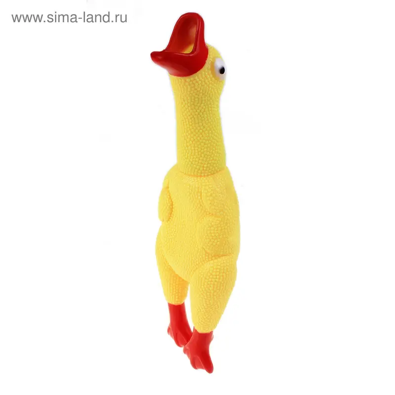 Утка кричащая, в сетке