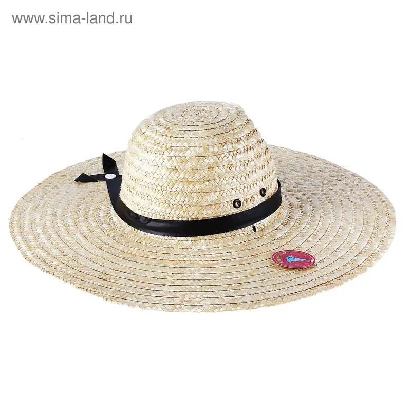 Шляпа мужская, с большими полями
