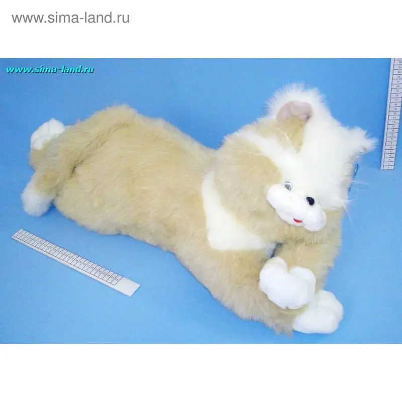 м кошка Лора