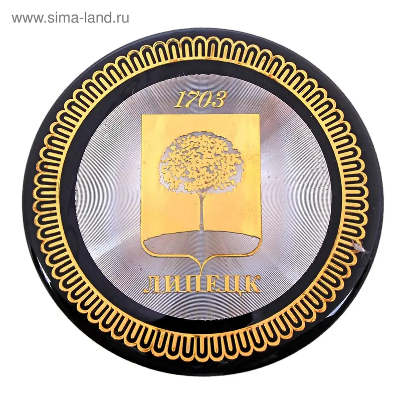 магнит металл Липецк 1703 г 5 см