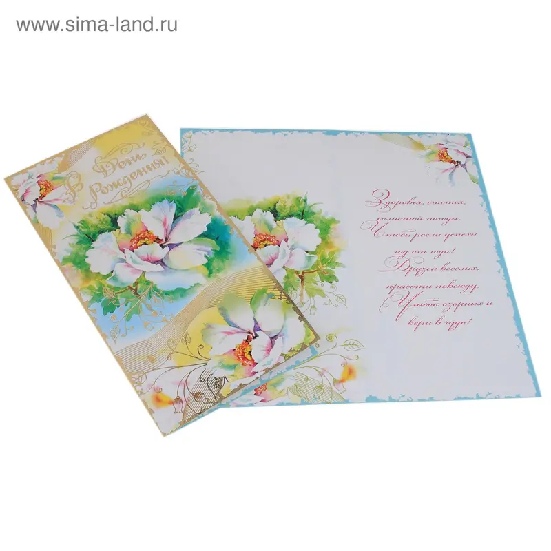открытка 23538 В День Рождения евро 105х210 23538