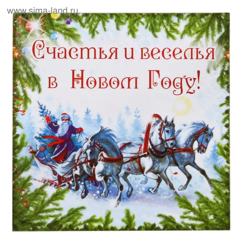 Магнит "Счастья и веселья в Новом году"