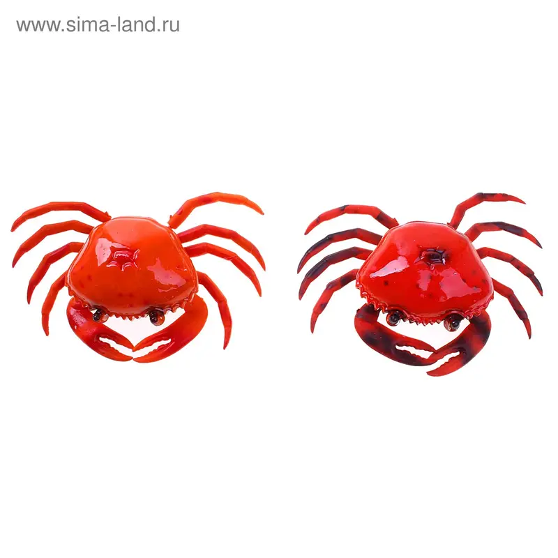 Магнит "Краб клешнятый, пружинка" 16×11 см