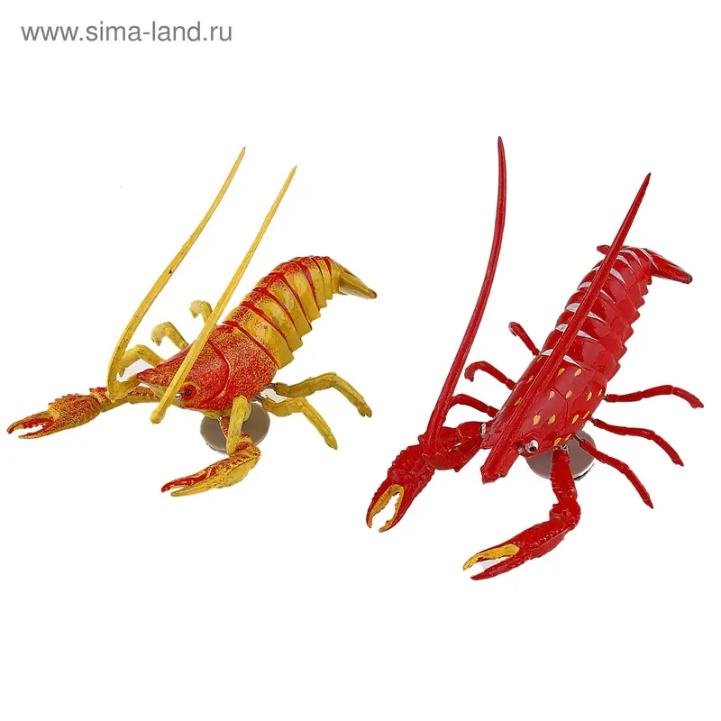 Магнит "Речной рак, пружинка" 15х10 см