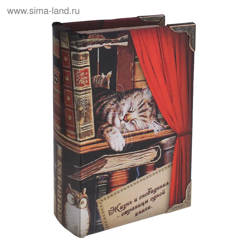 Шкатулка книга "Спящий котёнок" 21х13х5 см