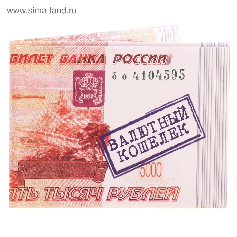 Бумажный кошелек "5000 рублей. Валютный кошелек"