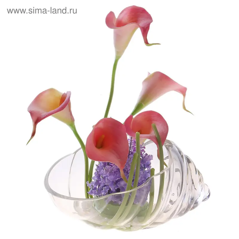 композиция в стекле Элит в ракушке 20*13*18 см