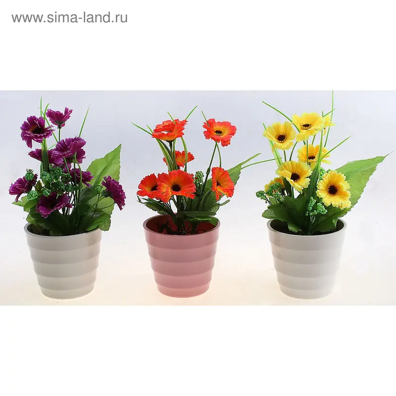 композиция космея 26 см