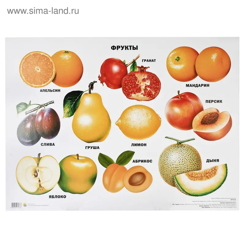 Плакат. Формат А2. Фрукты
