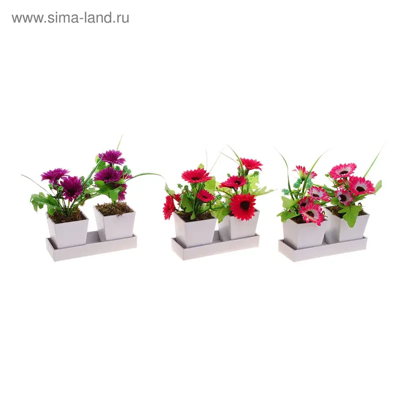композиция в двойном горшочке гербера 15*14 см