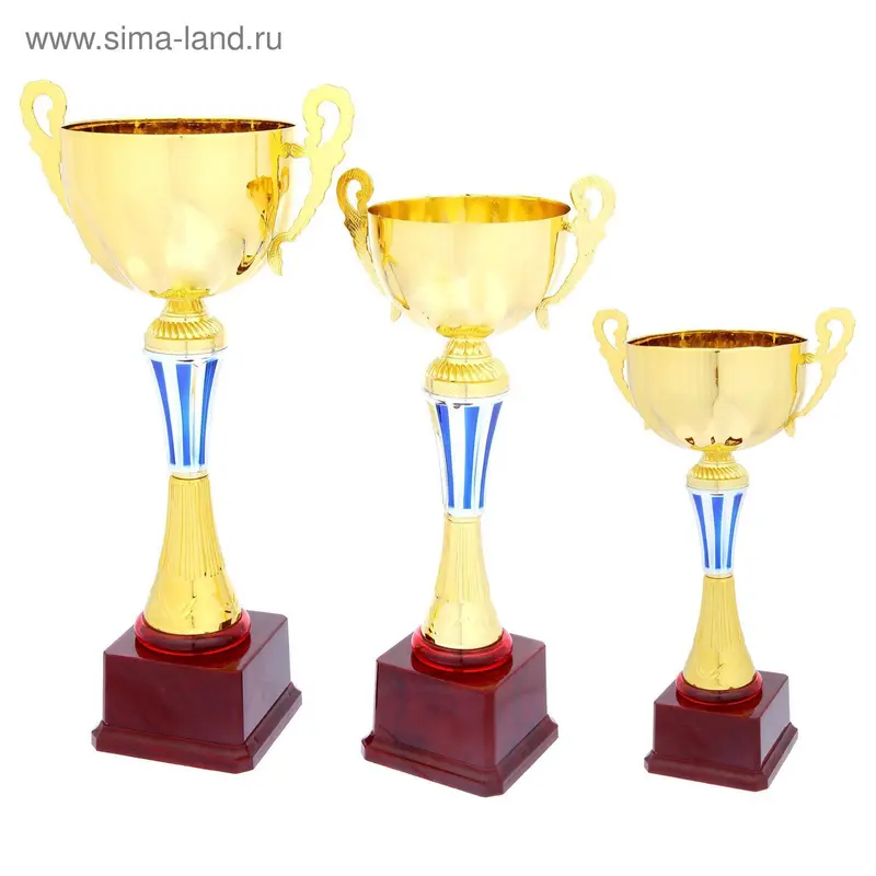 Кубок спортивный 020