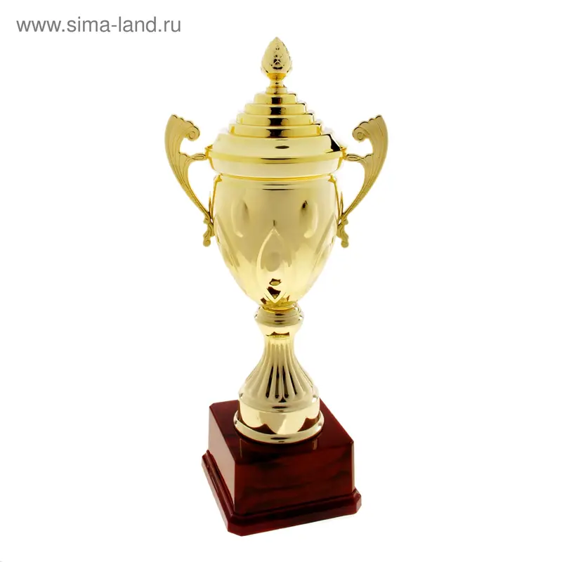 Кубок спортивный
