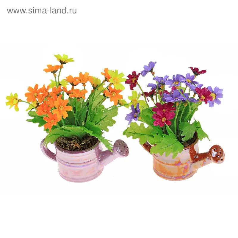 композиция 19 см