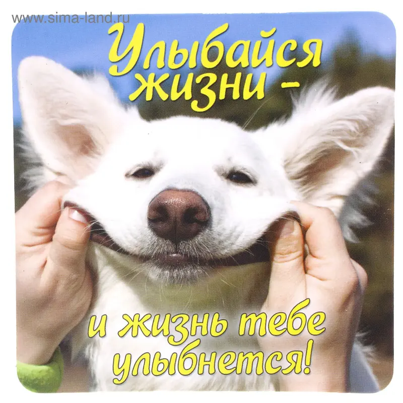 Магнит паспарту "Улыбайся жизни"