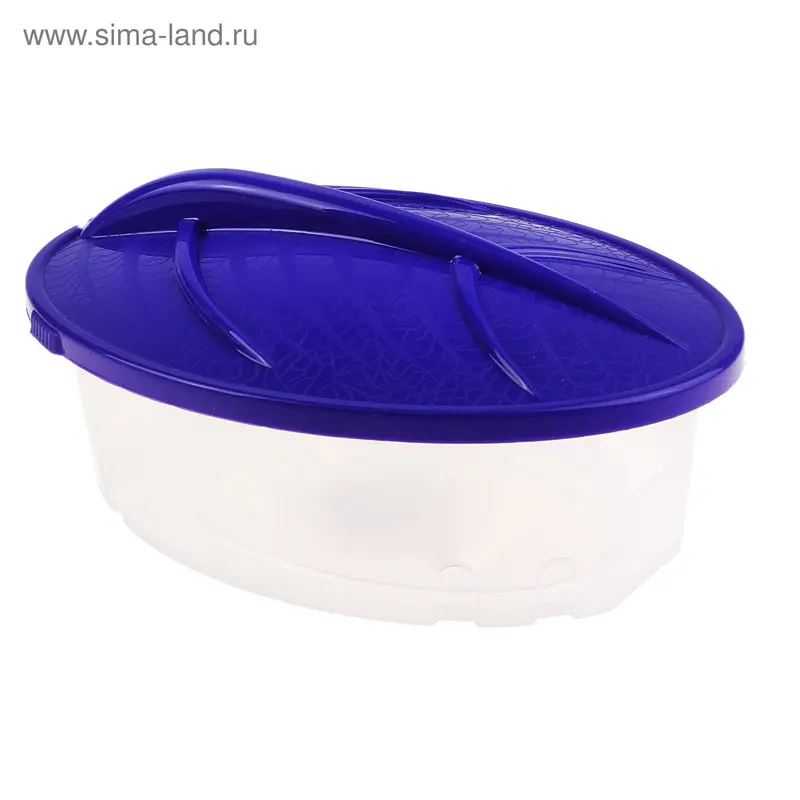 Контейнер для продуктов 1 л, синий