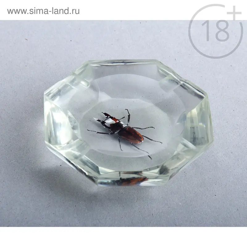Пепельница "Жук"