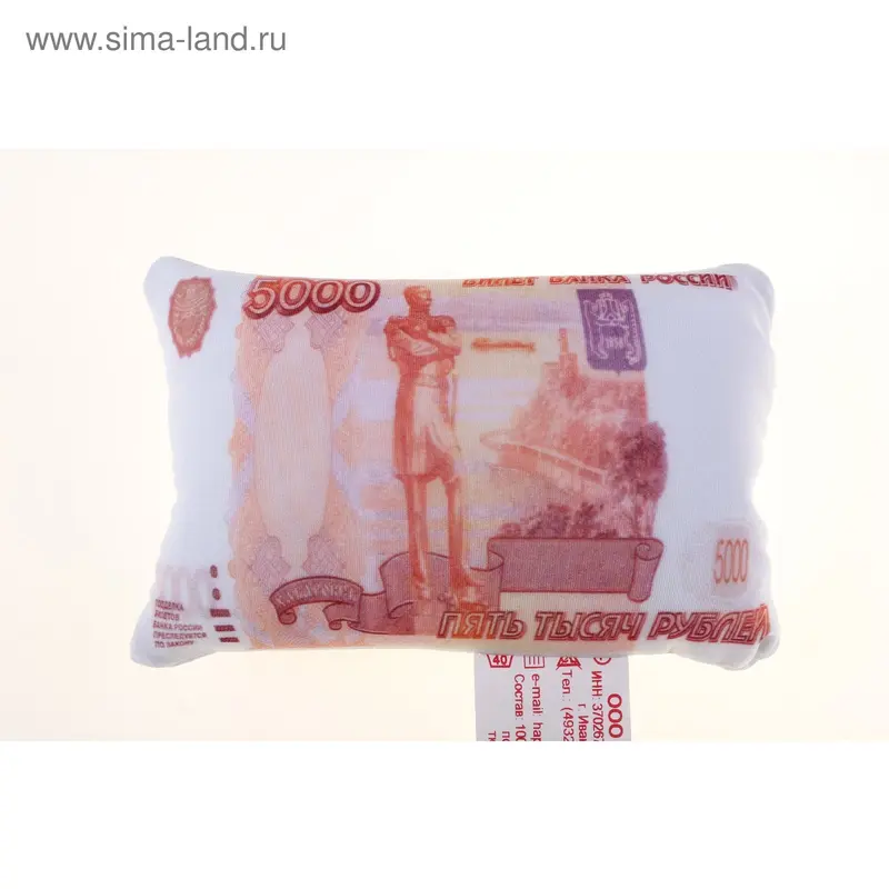 Подушка деньги 5000 15*10 П015