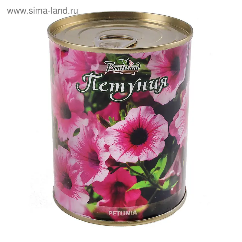 цветок в банке "Петуния" Petunia 77018