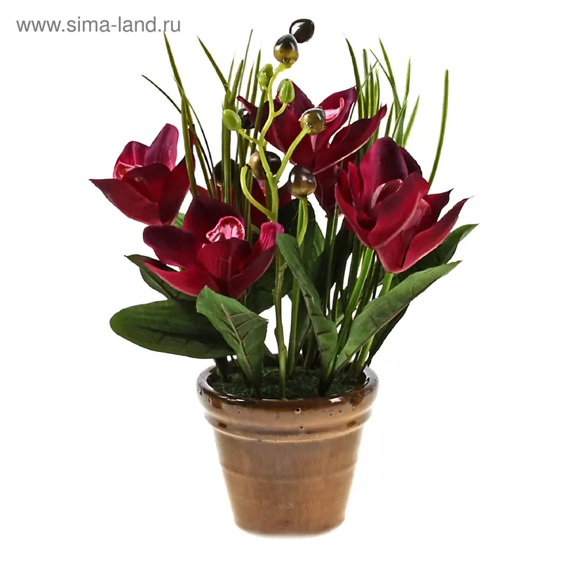композиция в горшочке 35*15 см амариллис