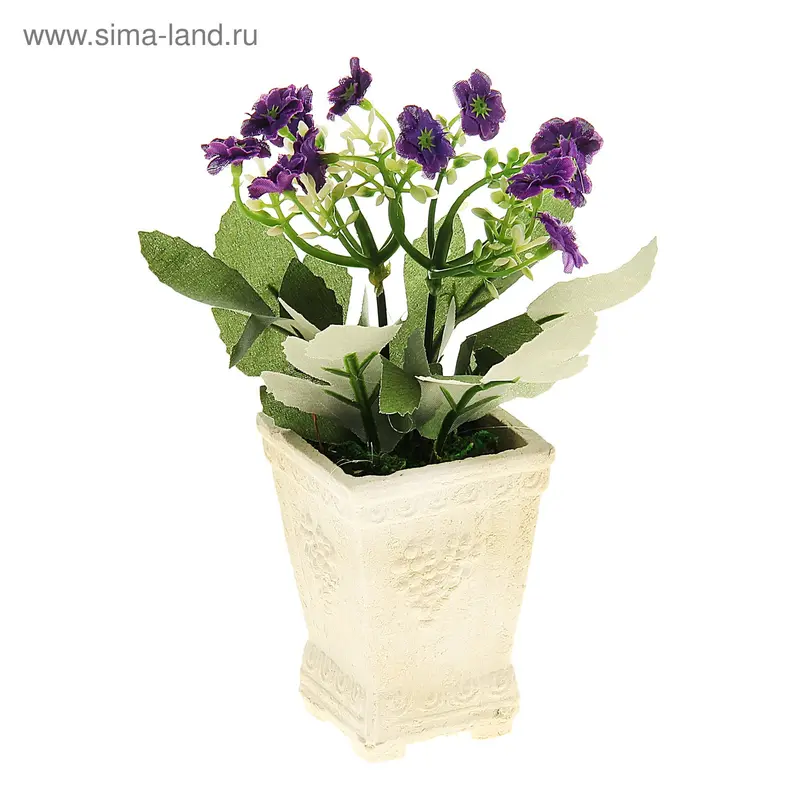 композиция в горшочке классика 20*10 см васильки