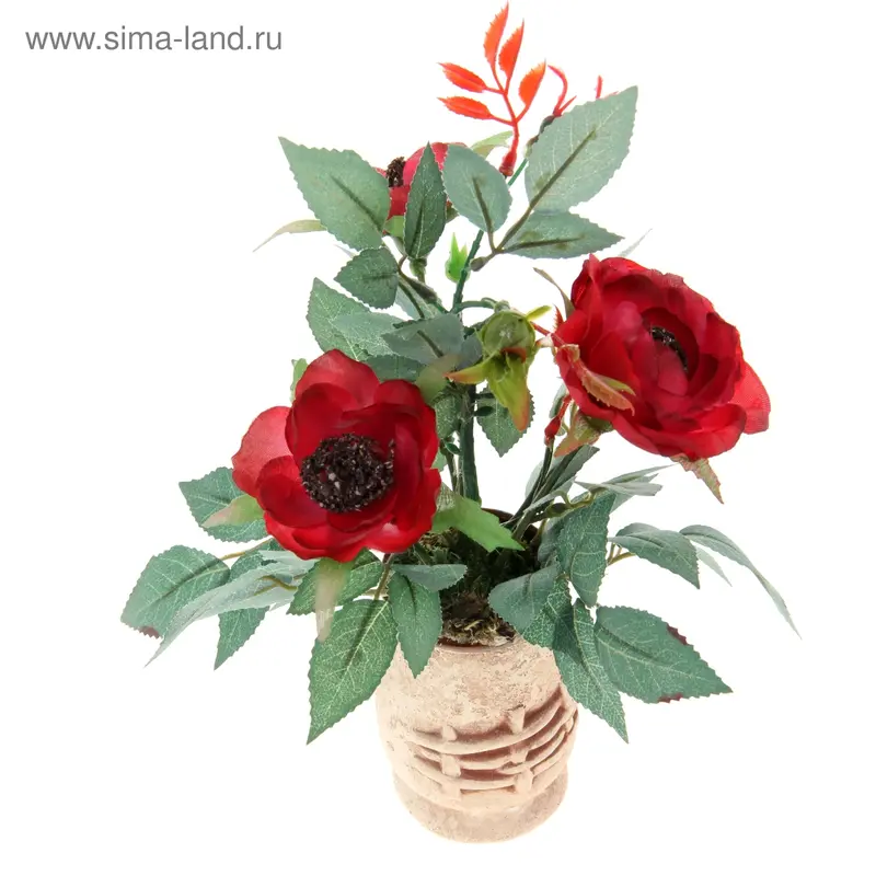 композиция в горшке 21*13 см розы 3 бутона