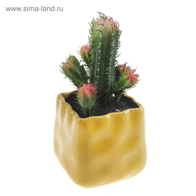 композиция в горшочке форм 20*10 см колючий