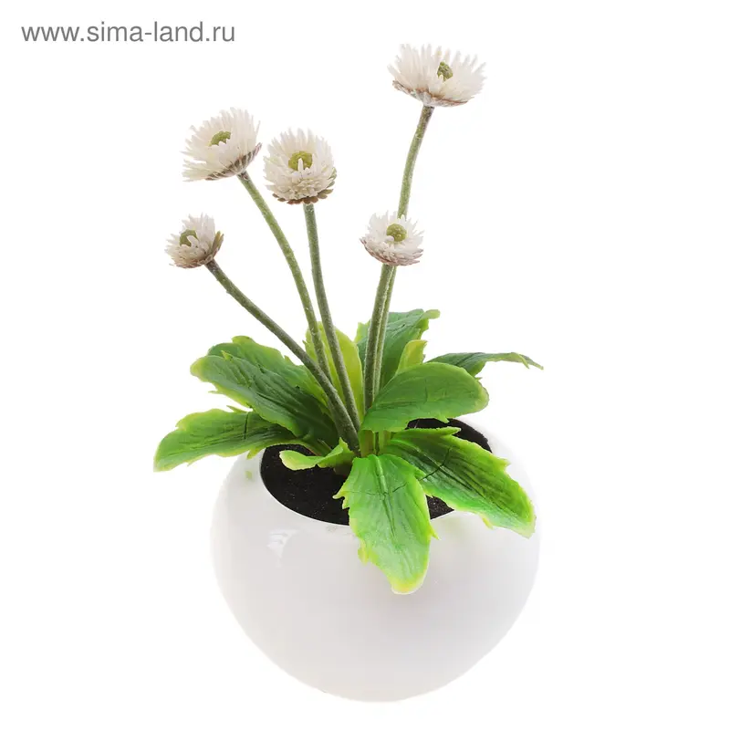 композиция в горшочке 20*12 см ромашки