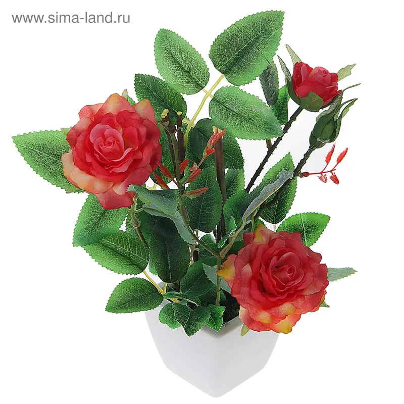 композиция цветущая роза 22*20 см