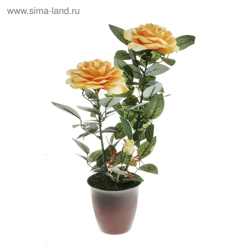 композиция в горшке 38*11 см розы три бутона