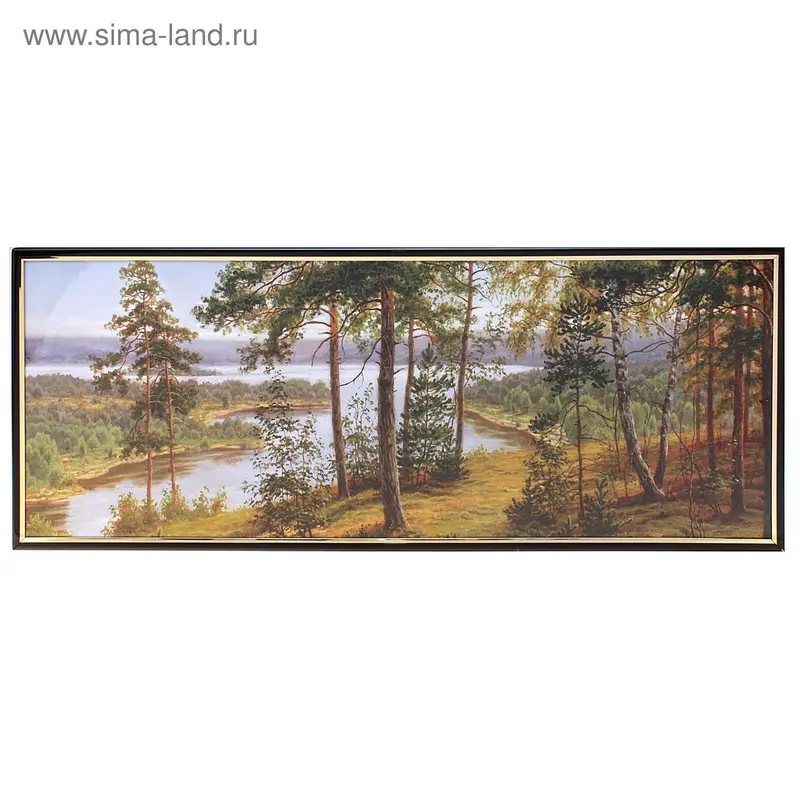Картина постер 20*50 см полдень в лесу рамка пластик
