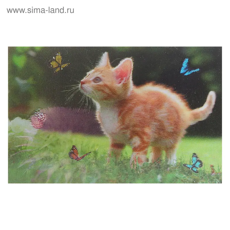магнит пластик объём 3D Киска с бабочкой 8,5*5,5 см