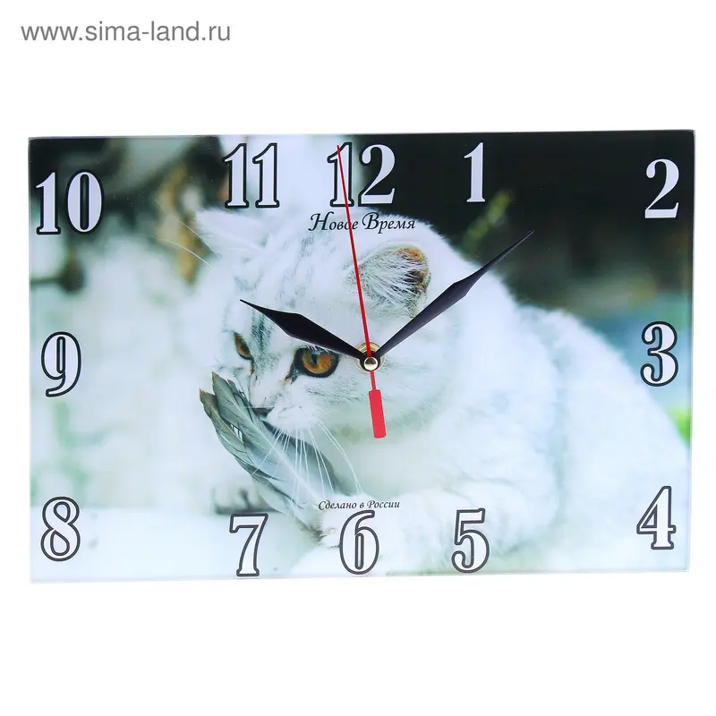 часы настенные Животные дп441 кошка